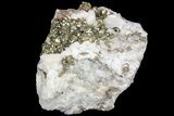 Pyrite On Calcite - El Hammam Mine, Morocco #80731-2